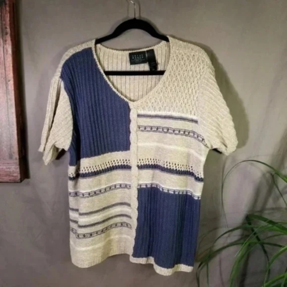 Crazy Horse By Liz Claiborne Sweaters - Liz Claiborne Crazy Horse V Neck Block Sweater